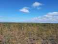 Exeland Land Real Estate