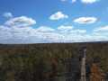 Exeland Land Real Estate
