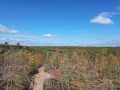 Exeland Land Real Estate