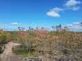 Exeland Land Real Estate
