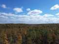 Exeland Land Real Estate