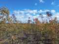 Exeland Land Real Estate