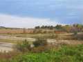 Black River Falls Land Real Estate