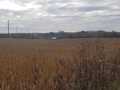 Black River Falls Land Real Estate