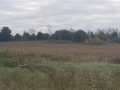 Black River Falls Land Real Estate