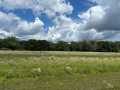 Eleva Land Real Estate