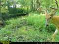 Property Photo 51