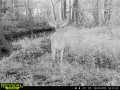 Property Photo 53