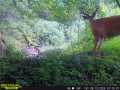 Property Photo 54