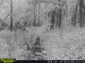Property Photo 56