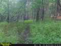 Property Photo 57