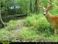Property Photo 58