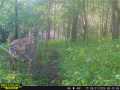 Property Photo 59