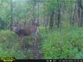 Property Photo 60