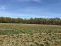 Eleva Land Real Estate
