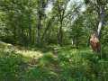 Trego Residential Real Estate