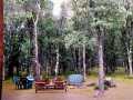 Wascott Residential Real Estate