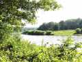 Neillsville Residential Real Estate