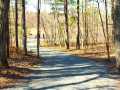 Neillsville Residential Real Estate