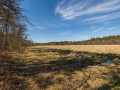 Osseo Land Real Estate