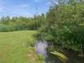 Eleva Residential Real Estate