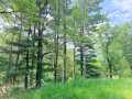 Boyceville Residential Real Estate
