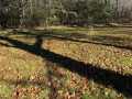 Stone Lake Land Real Estate