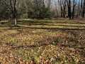 Stone Lake Land Real Estate