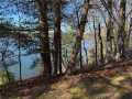 Stone Lake Land Real Estate