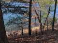 Stone Lake Land Real Estate