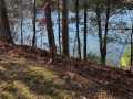 Stone Lake Land Real Estate