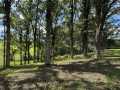 Rice Lake Land Real Estate