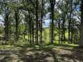 Rice Lake Land Real Estate