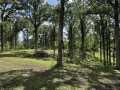 Rice Lake Land Real Estate