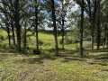 Rice Lake Land Real Estate