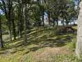 Rice Lake Land Real Estate