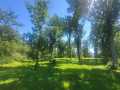 Rice Lake Land Real Estate