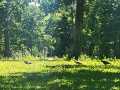 Rice Lake Land Real Estate