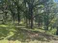 Rice Lake Land Real Estate