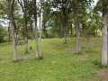 Rice Lake Land Real Estate