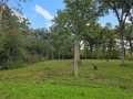 Rice Lake Land Real Estate