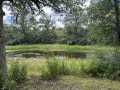 Rice Lake Land Real Estate