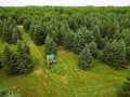 Ladysmith Residential Real Estate