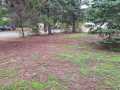 Solon Springs Residential Real Estate