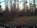 Chetek Land Real Estate