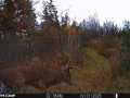 Chetek Land Real Estate
