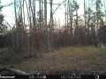 Chetek Land Real Estate