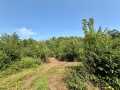 Chetek Land Real Estate