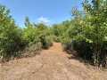 Chetek Land Real Estate