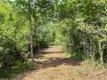 Chetek Land Real Estate